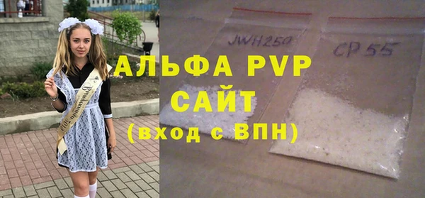 СК Вязьма