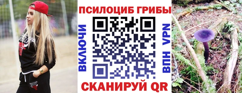 Галлюциногенные грибы Psilocybine cubensis  Евпатория 