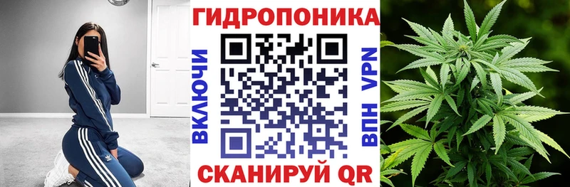 Бошки марихуана план  Евпатория 